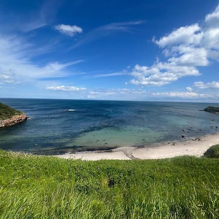 Berwick Holiday Park Haven 外观 照片