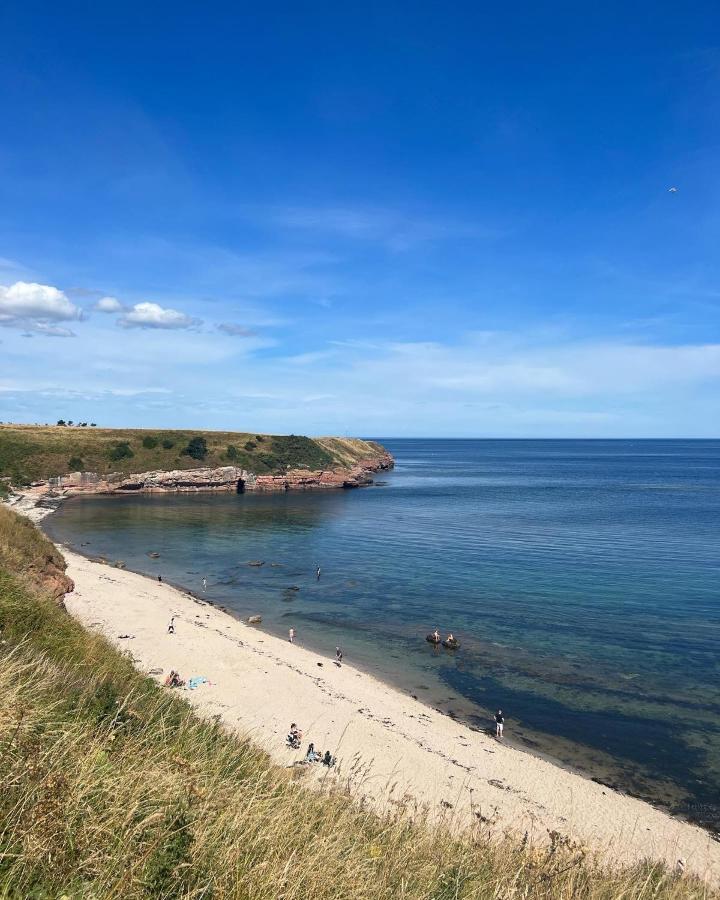 Berwick Holiday Park Haven 外观 照片